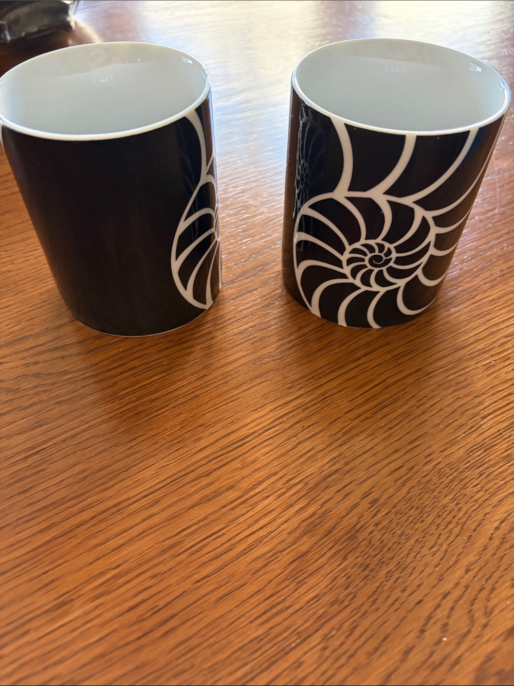 The Dali Museum Black Nautilus Pattern Ceramic Mugs - Set of 2